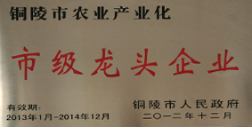 荣誉资质